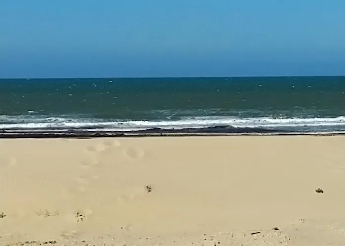L'ocenoa Ferienhaus Mimizan Plage