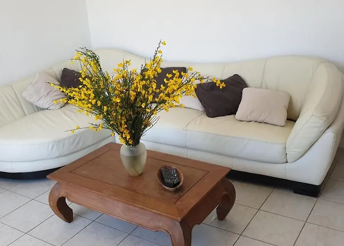 L'ocenoa Ferienhaus Mimizan Plage